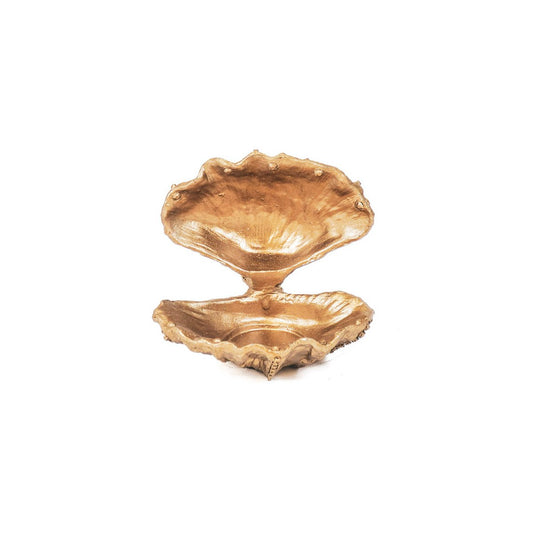 Ornament - Schelp - Polyresin - Goud - 12,5x11,5x12cm