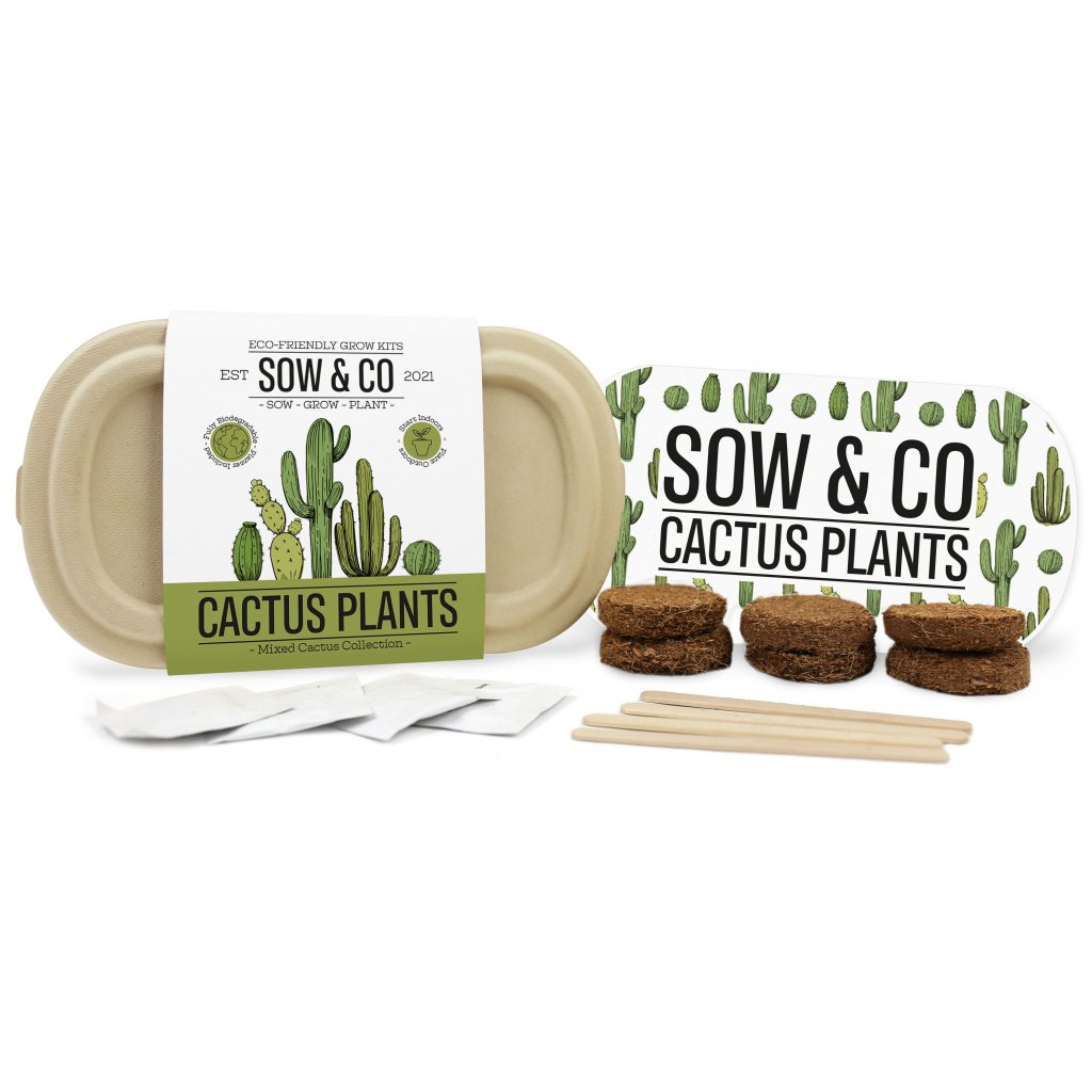 Gift Republic Cactus Plants