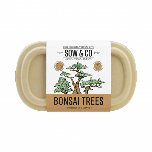 Gift Republic Bonsai Trees