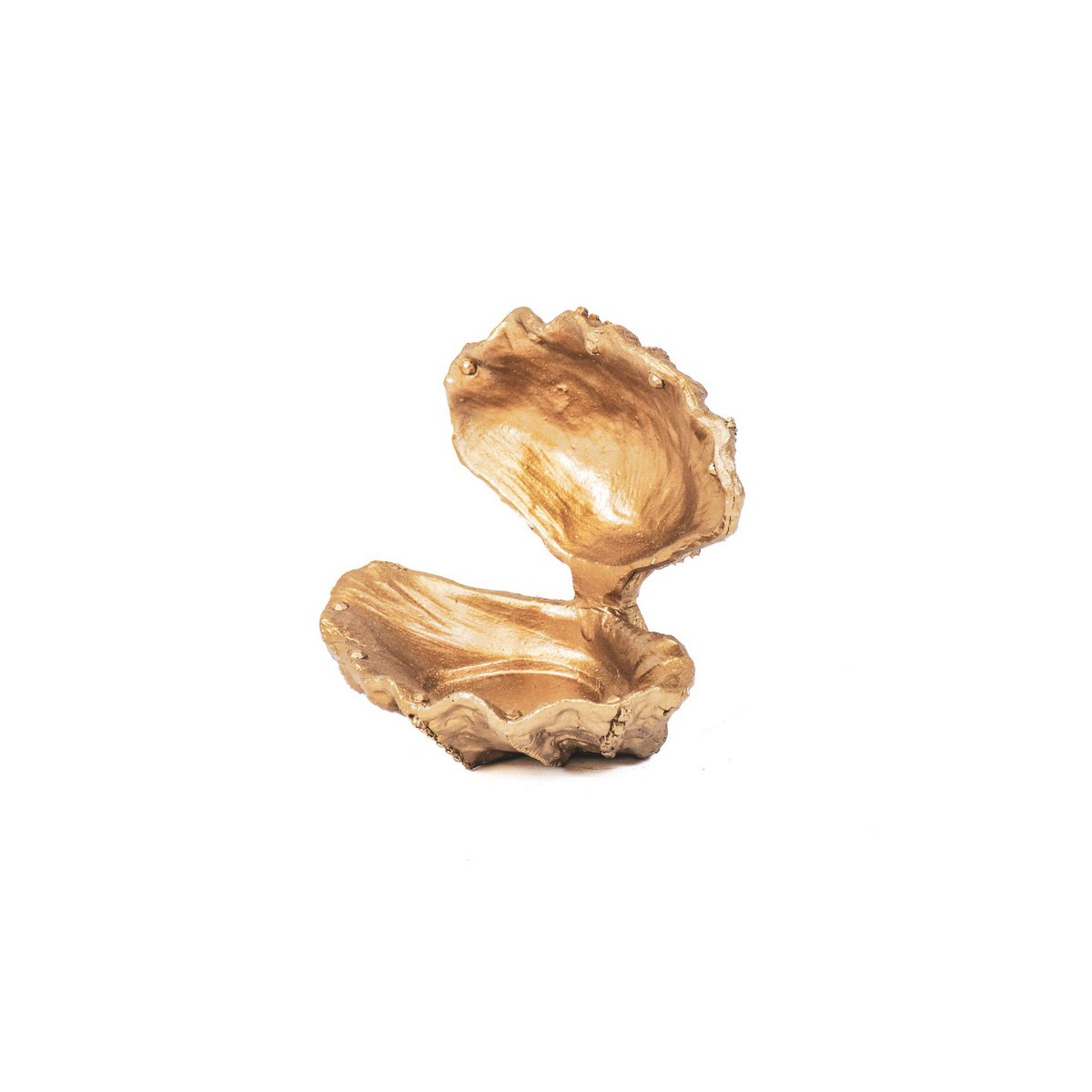 Ornament - Schelp - Polyresin - Goud - 12,5x11,5x12cm