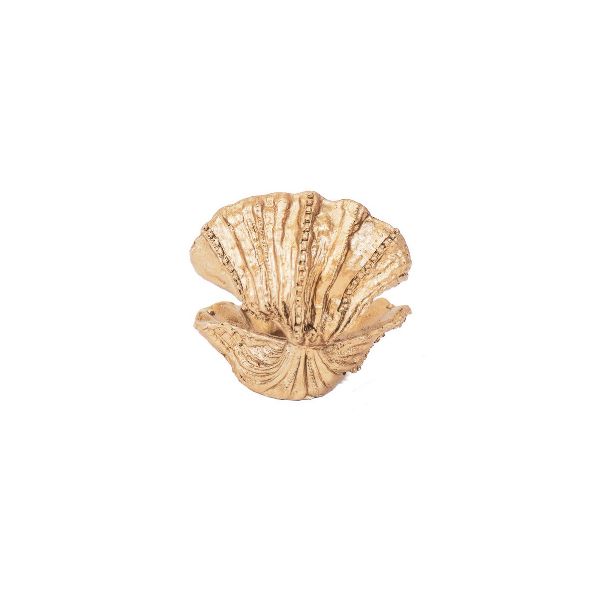 Ornament - Schelp - Polyresin - Goud - 12,5x11,5x12cm