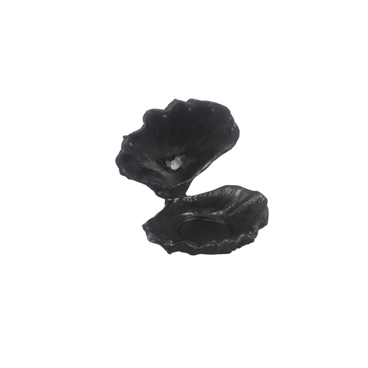 Ornament - Schelp/Oester - Polyresin - Zwart - 12,5x11,5x12cm