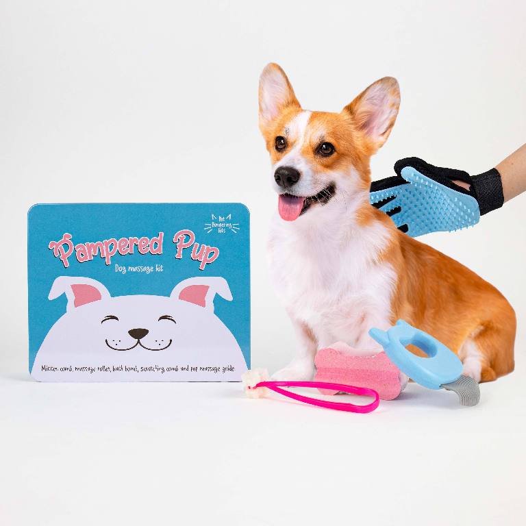 Gift Republic Massage Kit - Dog